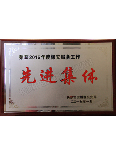 2016年度保安服務(wù)工作先進集體